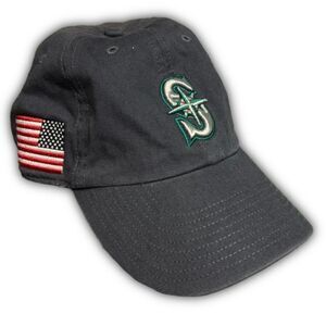 USA Flag Baseball Cap